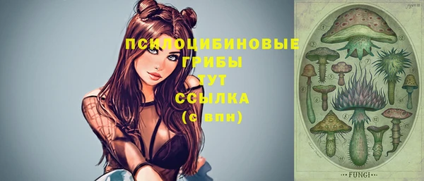 прущие крисы Переславль-Залесский