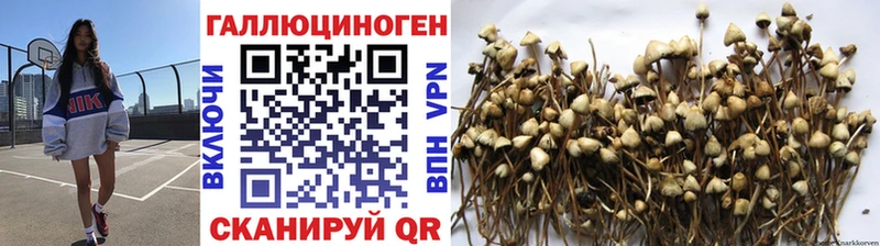 мега зеркало  Мамоново  Галлюциногенные грибы Cubensis 